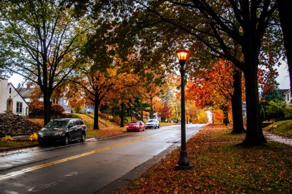 Fall HOA Maintenance for a neighborhood in TN